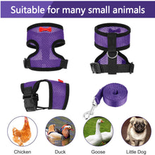 Load image into Gallery viewer, Breathable Mesh Chicken Duck Vest Leashes Poultry Hen Pet Harness With Matching Training for Walking Duck Goose Hen Rooster