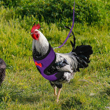 Load image into Gallery viewer, Breathable Mesh Chicken Duck Vest Leashes Poultry Hen Pet Harness With Matching Training for Walking Duck Goose Hen Rooster