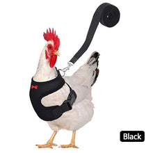 Load image into Gallery viewer, Breathable Mesh Chicken Duck Vest Leashes Poultry Hen Pet Harness With Matching Training for Walking Duck Goose Hen Rooster