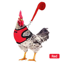 Load image into Gallery viewer, Breathable Mesh Chicken Duck Vest Leashes Poultry Hen Pet Harness With Matching Training for Walking Duck Goose Hen Rooster