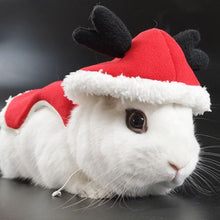 Load image into Gallery viewer, Pet Rabbit Clothes Winter Warm Bunny Clothes Rabbit Harness Leash Cloak Christmas Party Costume Small Animal Supplies