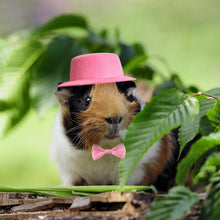 Load image into Gallery viewer, Pet Rabbit Guinea Pig Hamster Hedgehog Lizard Hat With Bow Tie Small Animal Top Hat Pet Costume Headgear
