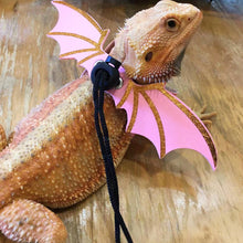 Load image into Gallery viewer, 3pcs Adjustable Lizard Leather Traction Rope With Wings Reptile Leash Bearded Dragon Anti-Bite Harness Leash Pet Suppiles