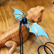 Load image into Gallery viewer, 3pcs Adjustable Lizard Leather Traction Rope With Wings Reptile Leash Bearded Dragon Anti-Bite Harness Leash Pet Suppiles