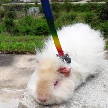 Load image into Gallery viewer, 1.2M Adjustable Pet Hamster Rabbit Leash Harness Rope Chinchilla Squirrel Guinea Pig Chest Lead Rope Small Pet Supplies