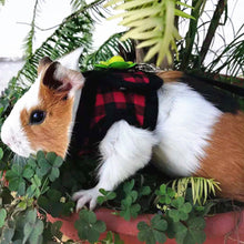 Load image into Gallery viewer, Adjustable Guinea Pig Harness Leash Set Outdoor Traction Rope for Hamster Chinchilla Mice Rat Ferret Rabbit Small Animal Accessories