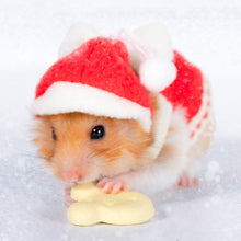 Load image into Gallery viewer, Hamster Dress Small Animal Clothes Harness Vest with Lovely Bow Pet Hamster Guinea-Pig Hat Rat Squirrel Hamster Supplies