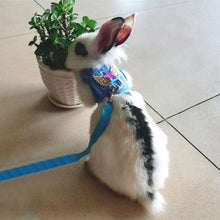 Load image into Gallery viewer, Fashion Rabbit Chinchilla Vest Harness With Leash Guinea Pig Harness Leash Outdoor Traction Rope for Chinchilla Ferret Small Pet Supplies