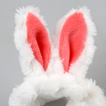 Load image into Gallery viewer, Cute Pet Cat Guinea Pig Chinchilla Hat With Ears Hamster Costume Ears Small Pet Headgear Decorative Hat