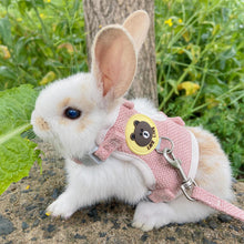 Load image into Gallery viewer, Pet Rabbit Mesh Vest Harness With Traction Rope Bunny Guinea Pig Vest Lead Small Animal Supplies