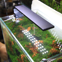 Load image into Gallery viewer, Full Spectrum Light Desktop Mini Tank Led Aquarium Fish Tank Lamp Aquatic Water Plant LED Light Exquisite Compact Aquarium Lamp for Grass Moss