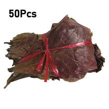 Load image into Gallery viewer, 50pcs Aquarium Decoration Natural Terminalia Catappa Leaves Fish Tank Cleaning Tools Water Treatment Almond Leaf Accessories Balance PH Acidity