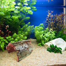 Load image into Gallery viewer, Aquarium Decoration Fake Tree Stump Artificial Bark Resin Branch Simulation Hollow Wood Model Figurine Fish Tank Hide Cave Craft Amphibians Landscape Dodge Hole DIY Accessory