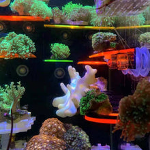 Load image into Gallery viewer, Fish Tank Fluorescence Coral Frag Rack Bracket Acrylic Aquarium Reef with Plugs Holder Mount Water Plant Stand Suction Cup Aquarium Accessories