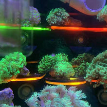 Load image into Gallery viewer, Fish Tank Fluorescence Coral Frag Rack Bracket Acrylic Aquarium Reef with Plugs Holder Mount Water Plant Stand Suction Cup Aquarium Accessories