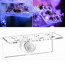 Load image into Gallery viewer, Marine Sources Aquarium Coral Frag Rack SPS Coral Support Clear Acrylic Aquarium Reef With Plugs Magnetic Tool Seawater Fish Tank Accessories