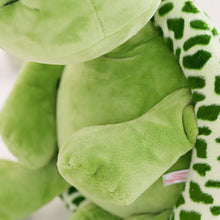 Load image into Gallery viewer, Kids Toys Plush Tortoise Toy Big Eye Green Stuffed Sea Turtle Animal Toys Gifts for Children Baby Accompany Toy Room Decoration