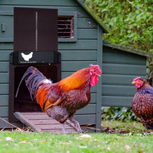 Load image into Gallery viewer, Automatic Chicken House Coop Door Light-Sensitive Night And Morning Delay Auto Guard Door Opening Timer For Chickens Supplies