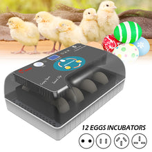 Load image into Gallery viewer, Full Automatic Egg Incubator 12 Eggs Hatchery Egg Hatchers Incubator Brooder Chicken Automatic Eggs Incubator Bird Quail Brooder