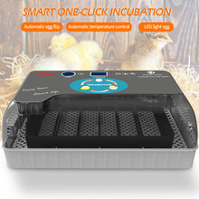 Load image into Gallery viewer, Full Automatic Egg Incubator 12 Eggs Hatchery Egg Hatchers Incubator Brooder Chicken Automatic Eggs Incubator Bird Quail Brooder