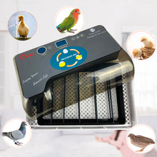 Load image into Gallery viewer, Full Automatic Egg Incubator 12 Eggs Hatchery Egg Hatchers Incubator Brooder Chicken Automatic Eggs Incubator Bird Quail Brooder