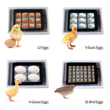 Load image into Gallery viewer, Full Automatic Egg Incubator 12 Eggs Hatchery Egg Hatchers Incubator Brooder Chicken Automatic Eggs Incubator Bird Quail Brooder