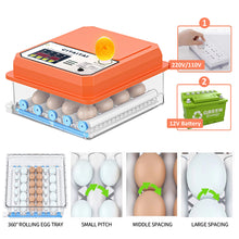 Load image into Gallery viewer, Full Automatic Egg Incubator 16 Eggs Hatchery Egg Hatchers Incubator Brooder Chicken Automatic Eggs Incubator Bird Quail Brooder