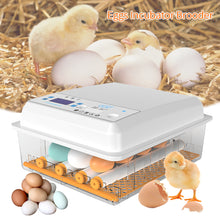 Load image into Gallery viewer, Dual Power 12V/220V Full Automatic Egg Incubator 12 Eggs Hatchery Egg Hatchers Incubator Brooder Chicken Automatic Eggs Incubator Bird Quail Brooder
