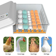 Load image into Gallery viewer, Dual Power 12V/220V Full Automatic Egg Incubator 12 Eggs Hatchery Egg Hatchers Incubator Brooder Chicken Automatic Eggs Incubator Bird Quail Brooder