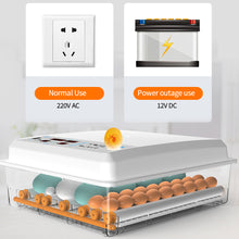 Load image into Gallery viewer, Dual Power 12V/220V Full Automatic Egg Incubator 12 Eggs Hatchery Egg Hatchers Incubator Brooder Chicken Automatic Eggs Incubator Bird Quail Brooder