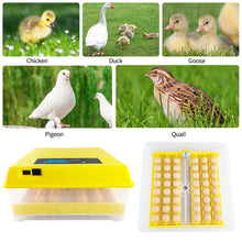 Load image into Gallery viewer, 48 Eggs Incubator Automatic Hatchery Poultry Household Equipment Incubator for Chicken Eggs Incubator Brooder
