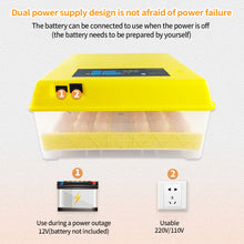 Load image into Gallery viewer, 48 Eggs Incubator Automatic Hatchery Poultry Household Equipment Incubator for Chicken Eggs Incubator Brooder