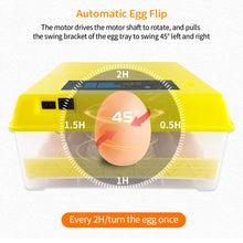 Load image into Gallery viewer, 48 Eggs Incubator Automatic Hatchery Poultry Household Equipment Incubator for Chicken Eggs Incubator Brooder