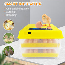 Load image into Gallery viewer, 96 Eggs Incubator Automatic Hatchery Poultry Household Equipment Incubator for Chicken Eggs Incubator Brooder