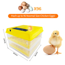 Load image into Gallery viewer, 96 Eggs Incubator Automatic Hatchery Poultry Household Equipment Incubator for Chicken Eggs Incubator Brooder