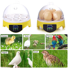 Load image into Gallery viewer, Mini 7 Egg Incubator Poultry Incubator Brooder Digital Temperature Control Egg Incubator Hatcher for Chicken Bird Egg