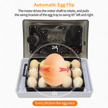 Load image into Gallery viewer, Full Automatic Egg Incubator 15 Eggs Hatchery Egg Hatchers Incubator Brooder Chicken Automatic Eggs Incubator Bird Quail Brooder