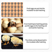 Load image into Gallery viewer, Full Automatic Egg Incubator 15 Eggs Hatchery Egg Hatchers Incubator Brooder Chicken Automatic Eggs Incubator Bird Quail Brooder