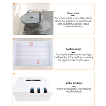 Load image into Gallery viewer, Full Automatic Egg Incubator 15 Eggs Hatchery Egg Hatchers Incubator Brooder Chicken Automatic Eggs Incubator Bird Quail Brooder