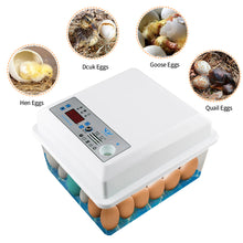 Load image into Gallery viewer, 20 Eggs Household Incubator Dual Power Automatic Temperature Control Incubator Tools Small Plastic Bionic Water Bed Farm Bird Egg Incubator
