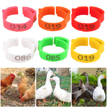 Load image into Gallery viewer, 100PCS Chicken Foot Ring Marker Adjustable Size 1-100 Number Poultry Leg Label Buckle Ring for Farm Chick Duck Goose Suplies