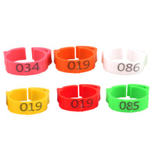 Load image into Gallery viewer, 100PCS Chicken Foot Ring Marker Adjustable Size 1-100 Number Poultry Leg Label Buckle Ring for Farm Chick Duck Goose Suplies