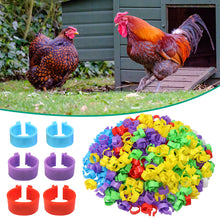 Load image into Gallery viewer, 100PCS Chicken Foot Ring Marker Reusable Poultry Leg Label Buckle Ring 16mm/20mm for Farm Chick Duck Goose Suplies