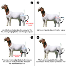Load image into Gallery viewer, Artificial Insemination Kit Sperm Injection Pressurizer for Pig Sheep Pet Canine Semen Deposition Veterinary Farming