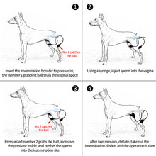Load image into Gallery viewer, Artificial Insemination Kit Sperm Injection Pressurizer for Pig Sheep Pet Canine Semen Deposition Veterinary Farming