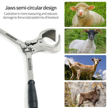 Load image into Gallery viewer, Stainless Steel Ram Bloodless Castration Plier Castrating Sheep Goat Lamb Tool No Blood Thongs Clamp Farm Animal Supplies