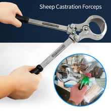 Load image into Gallery viewer, Stainless Steel Ram Bloodless Castration Plier Castrating Sheep Goat Lamb Tool No Blood Thongs Clamp Farm Animal Supplies