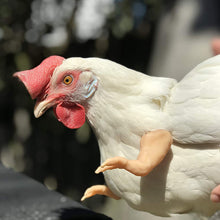 Load image into Gallery viewer, Funny Chicken Arms Toy Artificial Dinosaur Arms for Hens Pet Themed Party Props Chicken Supplies Pet Chicken Accessories