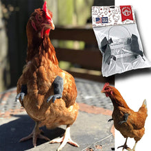 Load image into Gallery viewer, Funny Chicken Arms Toy Artificial Dinosaur Arms for Hens Pet Themed Party Props Chicken Supplies Pet Chicken Accessories
