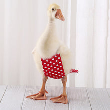Load image into Gallery viewer, Pet Duck Diaper Goose Chicken Poultry Diaper Clothes Reusable Washable Costume Diaper with Bow Knot Duck Supplies